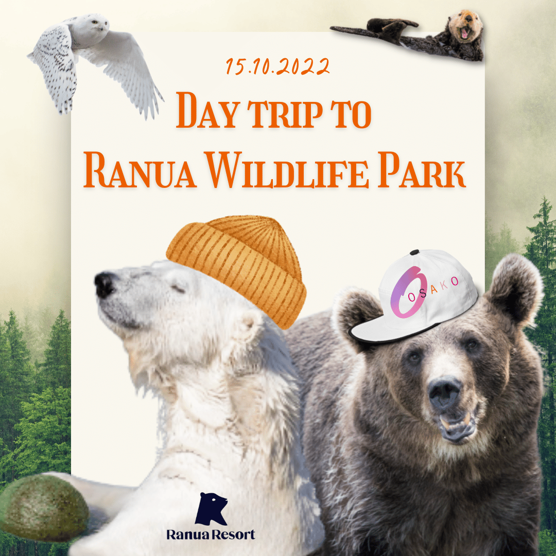 Day tip to Ranua Wildlife Park